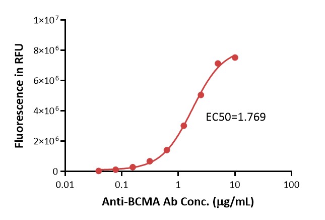 Add BCMA pre-coupling magnetic beads into each well at a concentration of 1 mg/ml. 0.1 mg beads was added to each well. Then add increasing concentrations of anti-BCMA antibody to different wells. PE-labeled anti-human IgG Fc antibody was used for detection.
